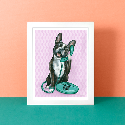 Boston Terrier au téléphone - Affiche murale