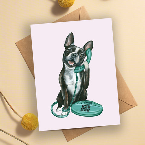Boston Terrier au téléphone - Carte de souhait