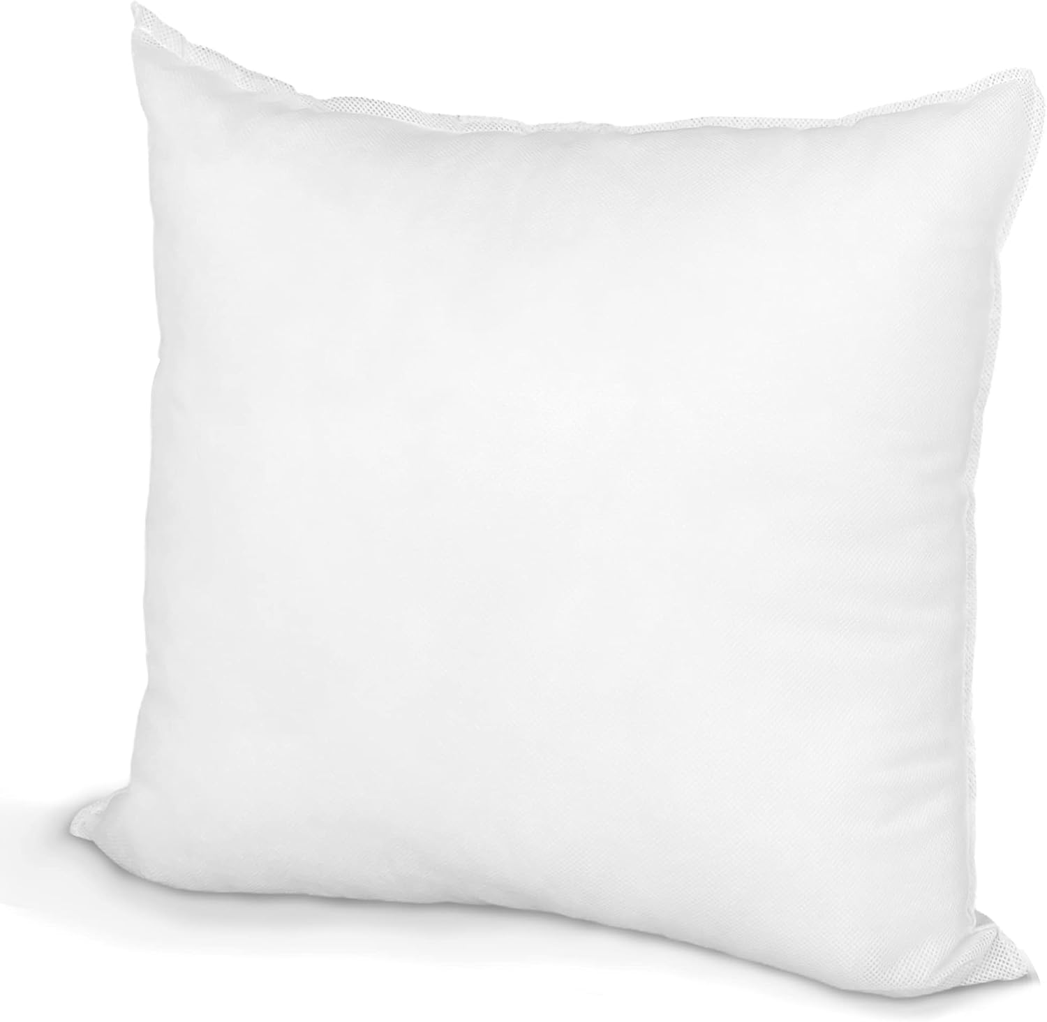 Pillow Insert 15