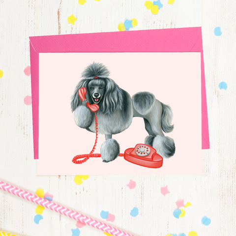 Caniche au téléphone - Carte de souhait