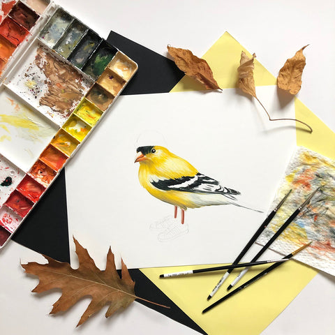 goldfinch bird illustration, goldfinch artwork, goldfinch painting, amelie legault, shoes, beanie hat, north american bird 