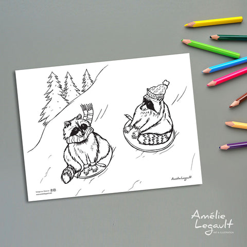 coloriage gratuit, coloriage d'hiver, coloriage de noël, amelie legault, ratons laveurs, ratons qui glissent, illustration de raton, fait au québec, raccoon illustration, sliding raccoons, made in canada, raccoon coloring, winter coloring, holiday coloring, holiday activity, christmas coloring