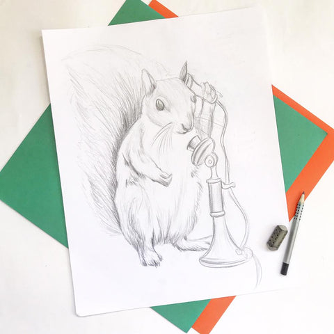 squirrel sketch, artist sketch, esquisse d'écureuil, dessin d'écureuil, Amélie Legault, canadian animal, montréal, canadian artist