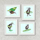 Ensemble d'affiches d'oiseaux kiwi, illustration de kiwi, amelie legault, nouvelle-zélande, illustration sportive, dessin de kiwi, décoration de kiwi