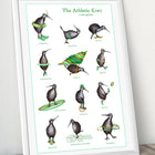 Kiwi bird print, athletic kiwi bird print, amelie legault, kiwi illustration, kiwi decoration, amelie legault, new zealand