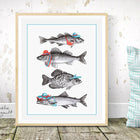 Dressed fish, Summer fish, fish art Print, fish drawing fish art work, canadian fish, amelie legault, made in canada, canadian artist