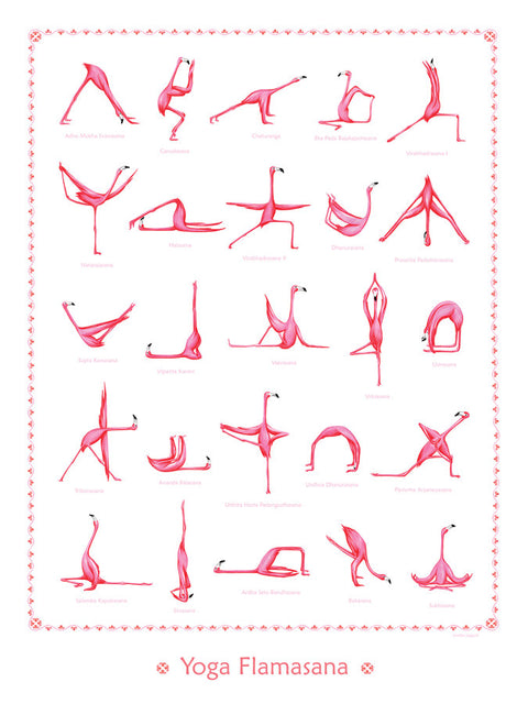 affiche de yoga, flamants roses, 25 asanas, amelie legault