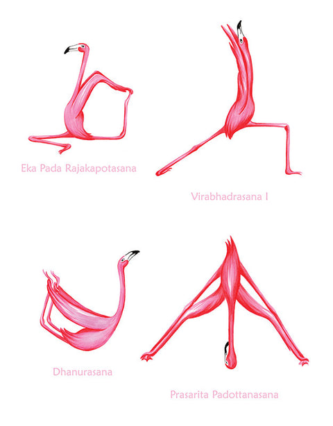 Flamingo yoga poster with 25 asanas