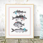 Dressed fish, Summer fish, fish art Print, fish drawing fish art work, canadian fish, amelie legault, made in canada, canadian artist